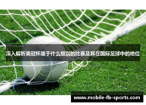深入解析美冠杯属于什么级别的比赛及其在国际足球中的地位 深入解析美冠杯属于什么级别的比赛及其在国际足球中的地位